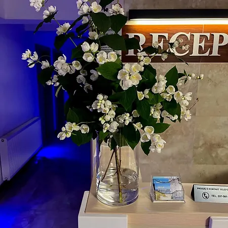 ベッド・アンド・ブレックファスト Akoja 4*