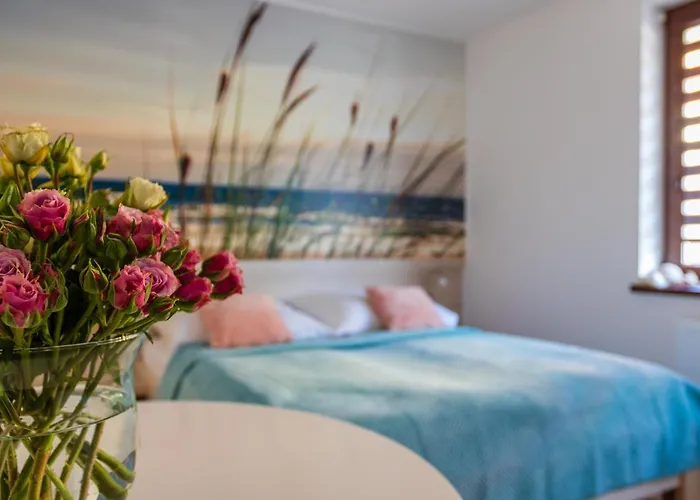 住宿加早餐酒店 Akoja Władysławowo