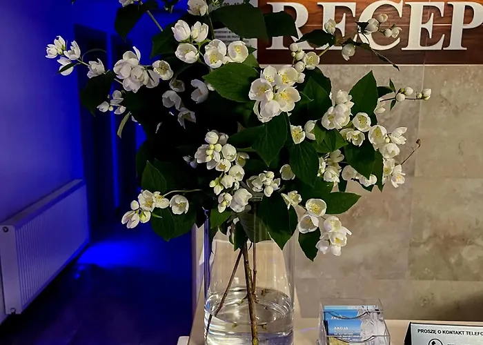 住宿加早餐酒店 Akoja 4*